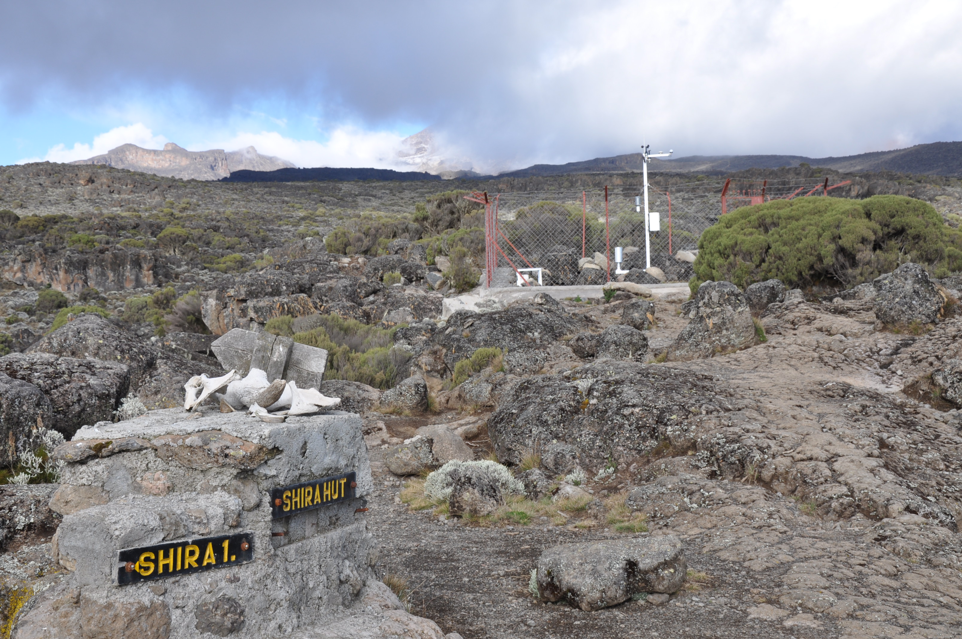 Shira Camp to Barranco Camp via Lava Tower - Day 3 of Machame Route